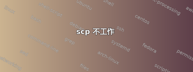 scp 不工作