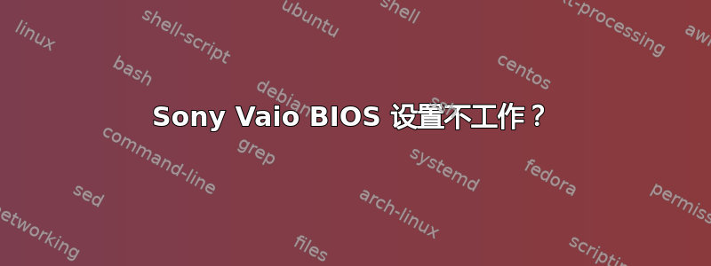 Sony Vaio BIOS 设置不工作？