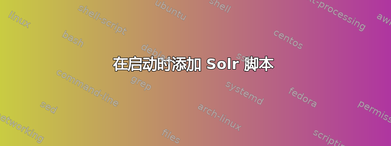 在启动时添加 Solr 脚本