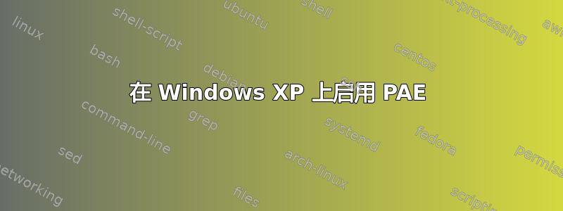 在 Windows XP 上启用 PAE