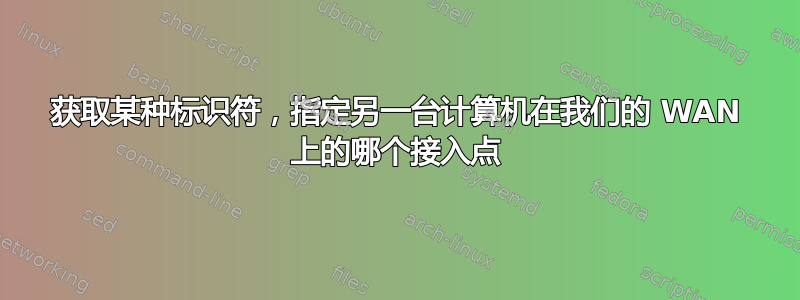 获取某种标识符，指定另一台计算机在我们的 WAN 上的哪个接入点