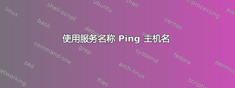 使用服务名称 Ping 主机名