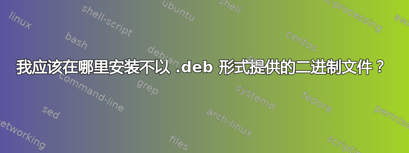 我应该在哪里安装不以 .deb 形式提供的二进制文件？