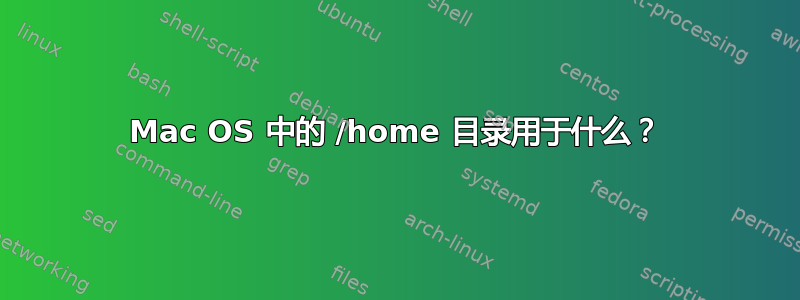 Mac OS 中的 /home 目录用于什么？