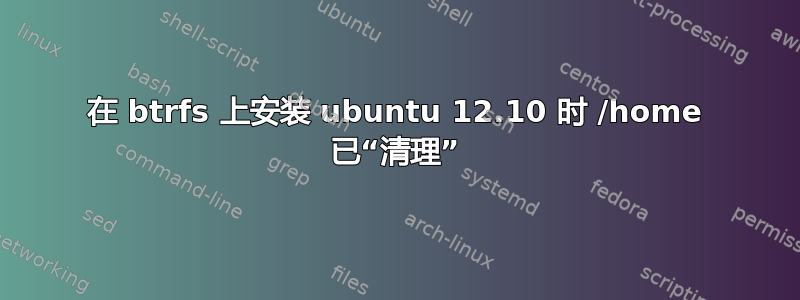 在 btrfs 上安装 ubuntu 12.10 时 /home 已“清理”