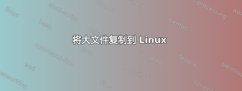 将大文件复制到 Linux