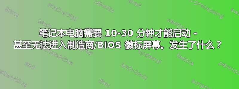 笔记本电脑需要 10-30 分钟才能启动 - 甚至无法进入制造商/BIOS 徽标屏幕。发生了什么？