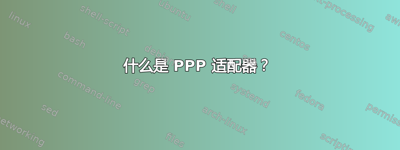 什么是 PPP 适配器？