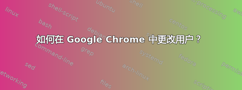 如何在 Google Chrome 中更改用户？