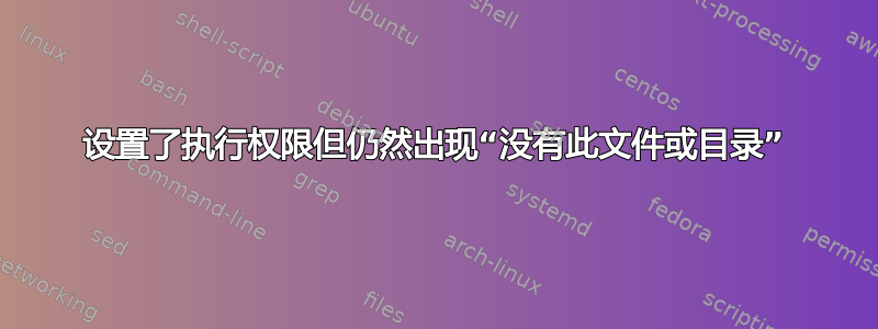 设置了执行权限但仍然出现“没有此文件或目录”