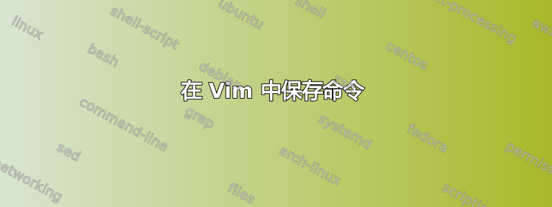 在 Vim 中保存命令