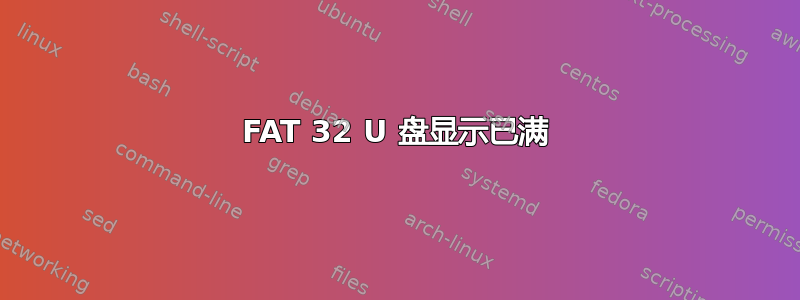 FAT 32 U 盘显示已满