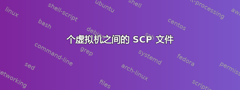 2 个虚拟机之间的 SCP 文件