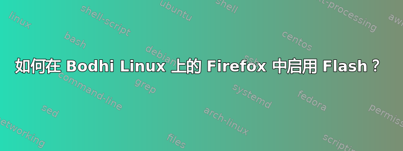 如何在 Bodhi Linux 上的 Firefox 中启用 Flash？