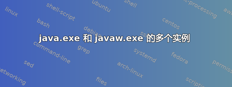 java.exe 和 javaw.exe 的多个实例