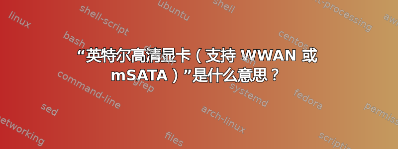 “英特尔高清显卡（支持 WWAN 或 mSATA）”是什么意思？