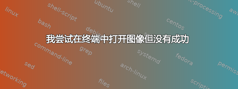 我尝试在终端中打开图像但没有成功