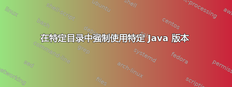 在特定目录中强制使用特定 Java 版本