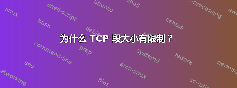 为什么 TCP 段大小有限制？