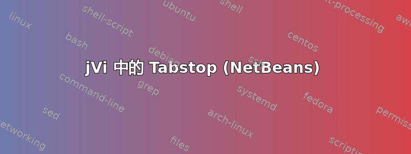 jVi 中的 Tabstop (NetBeans)