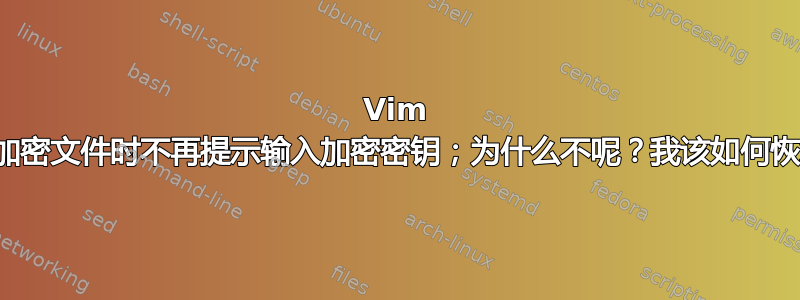 Vim 在读取加密文件时不再提示输入加密密钥；为什么不呢？我该如何恢复呢？