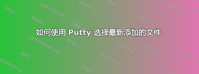 如何使用 Putty 选择最新添加的文件