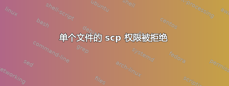 单个文件的 scp 权限被拒绝