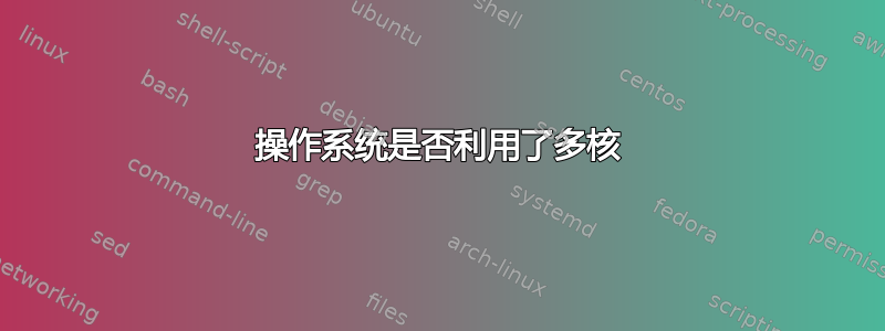 操作系统是否利用了多核