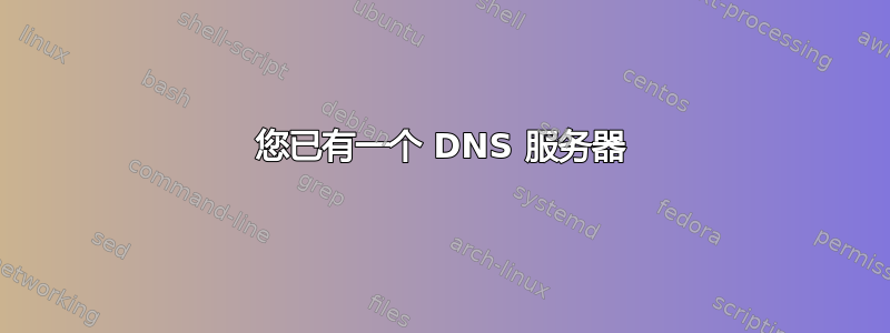 您已有一个 DNS 服务器