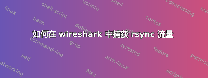 如何在 wireshark 中捕获 rsync 流量