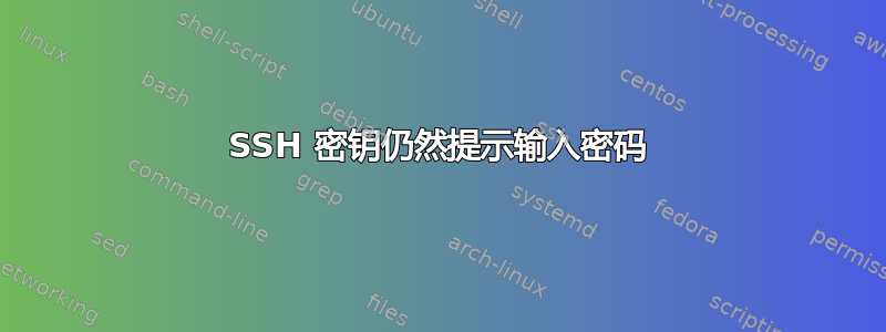 SSH 密钥仍然提示输入密码