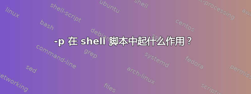 -p 在 shell 脚本中起什么作用？