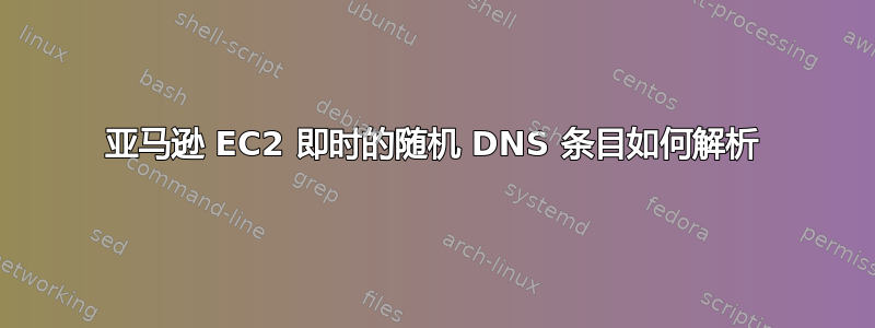 亚马逊 EC2 即时的随机 DNS 条目如何解析