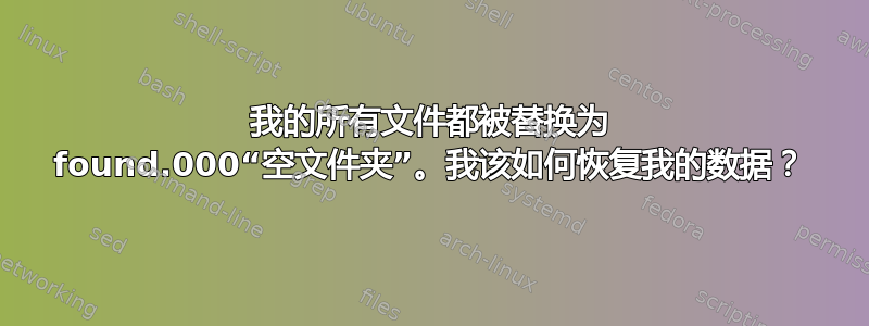 我的所有文件都被替换为 found.000“空文件夹”。我该如何恢复我的数据？