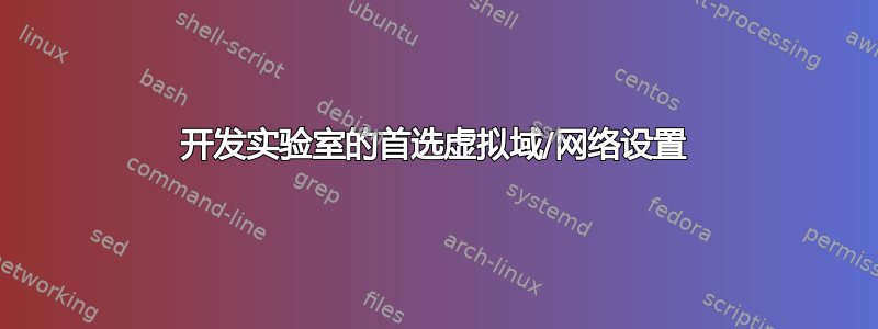 开发实验室的首选虚拟域/网络设置