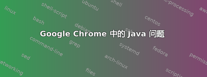 Google Chrome 中的 Java 问题