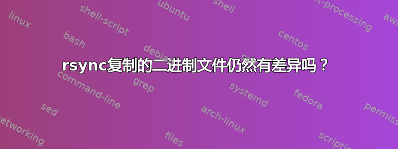 rsync复制的二进制文件仍然有差异吗？