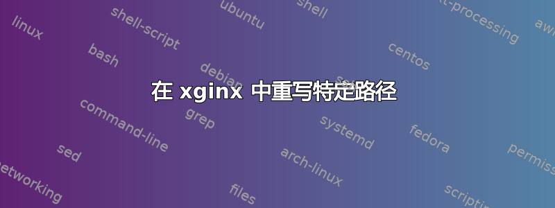 在 xginx 中重写特定路径