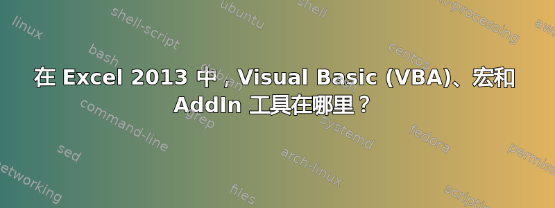 在 Excel 2013 中，Visual Basic (VBA)、宏和 AddIn 工具在哪里？