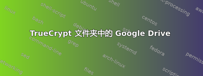 TrueCrypt 文件夹中的 Google Drive