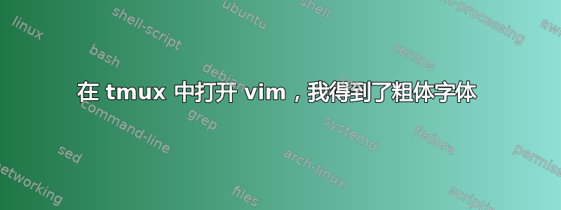 在 tmux 中打开 vim，我得到了粗体字体