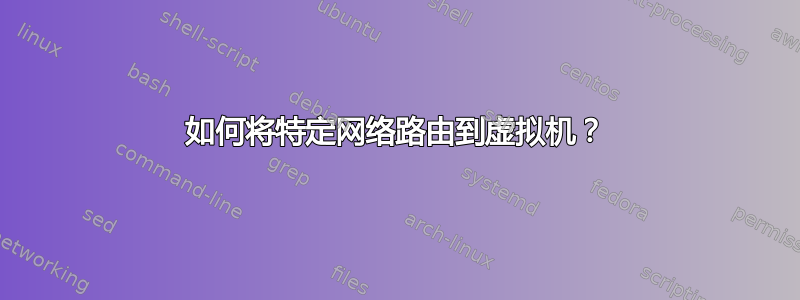 如何将特定网络路由到虚拟机？