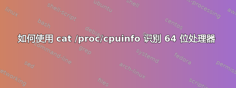 如何使用 cat /proc/cpuinfo 识别 64 位处理器