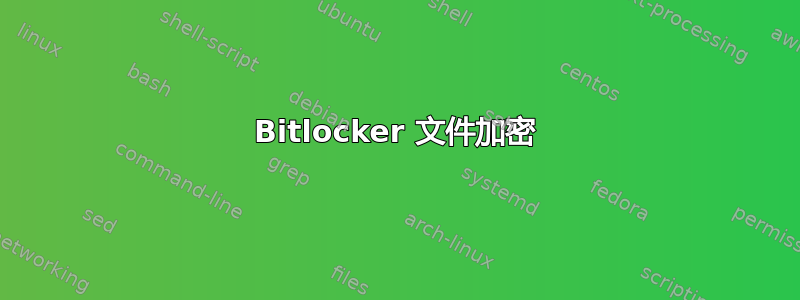 Bitlocker 文件加密