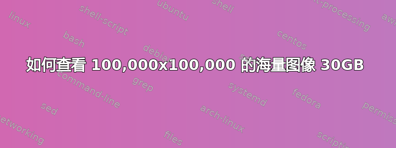 如何查看 100,000x100,000 的海量图像 30GB