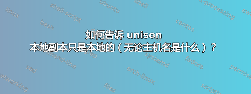 如何告诉 unison 本地副本只是本地的（无论主机名是什么）？