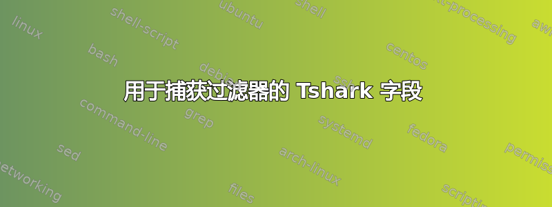 用于捕获过滤器的 Tshark 字段