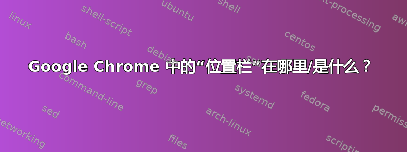 Google Chrome 中的“位置栏”在哪里/是什么？