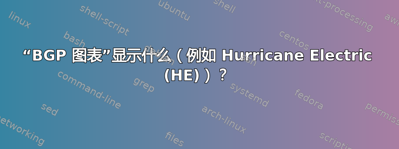 “BGP 图表”显示什么（例如 Hurricane Electric (HE)）？