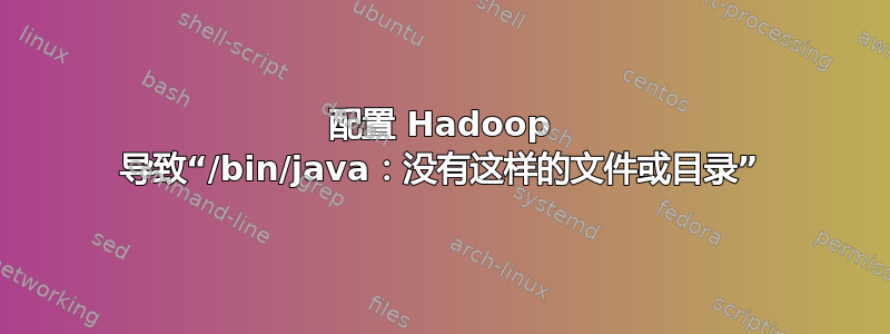 配置 Hadoop 导致“/bin/java：没有这样的文件或目录”